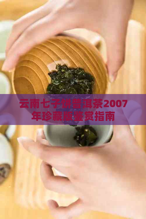 云南七子饼普洱茶2007年珍藏版鉴赏指南