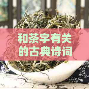 和茶字有关的古典诗词赏析