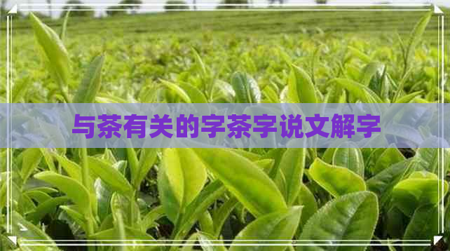 与茶有关的字茶字说文解字