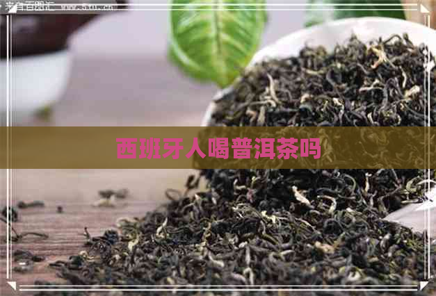 西班牙人喝普洱茶吗