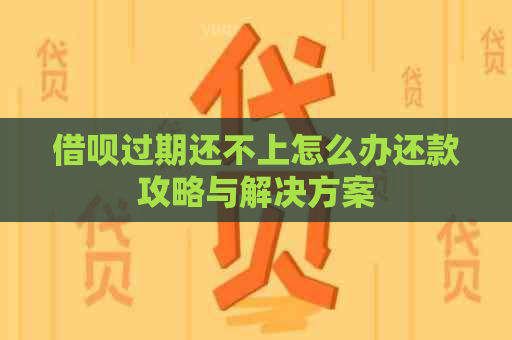 借呗过期还不上怎么办还款攻略与解决方案