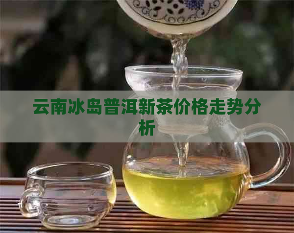 云南冰岛普洱新茶价格走势分析