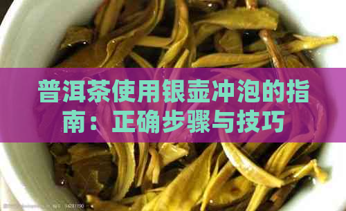 普洱茶使用银壶冲泡的指南：正确步骤与技巧