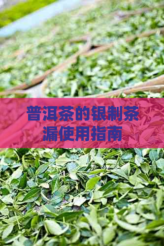 普洱茶的银制茶漏使用指南