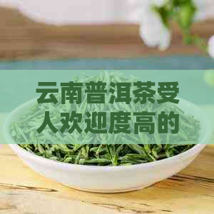 云南普洱茶受人欢迎度高的原因