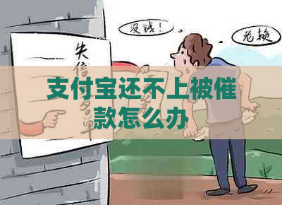 支付宝还不上被催款怎么办