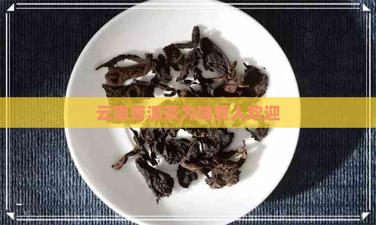 云南普洱茶为啥受人欢迎