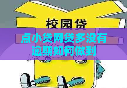 点小贷网贷多没有逾期如何做到