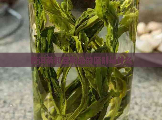 普洱茶和豆制品的区别是什么