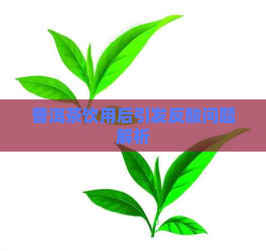 普洱茶饮用后引发反酸问题解析