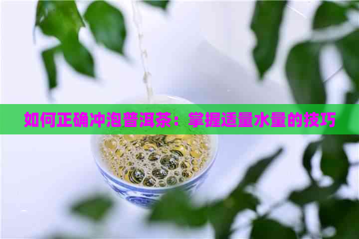 如何正确冲泡普洱茶：掌握适量水量的技巧