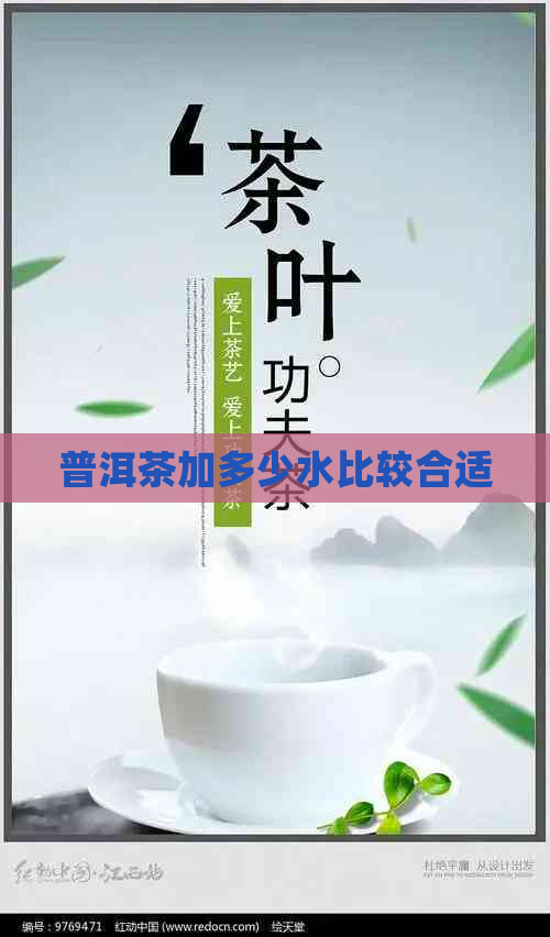 普洱茶加多少水比较合适