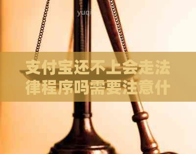 支付宝还不上会走法律程序吗需要注意什么