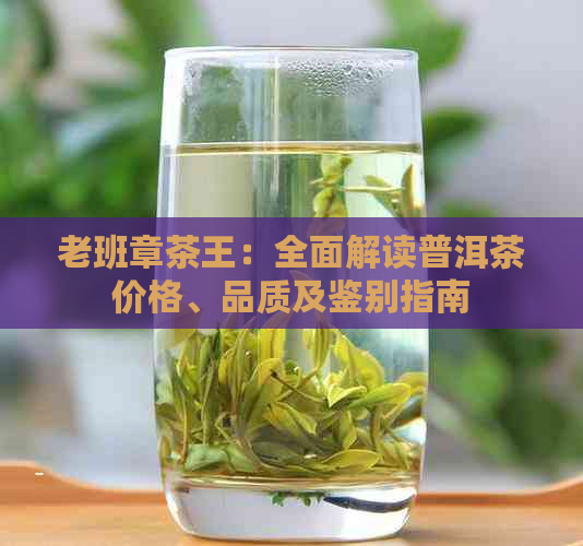 老班章茶王：全面解读普洱茶价格、品质及鉴别指南