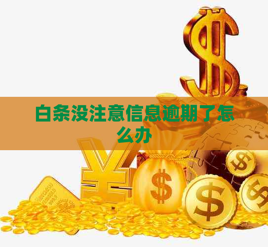 白条没注意信息逾期了怎么办