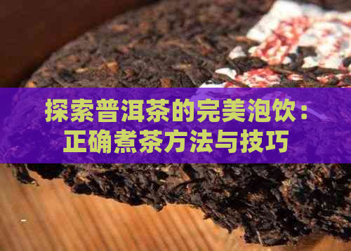 探索普洱茶的完美泡饮：正确煮茶方法与技巧