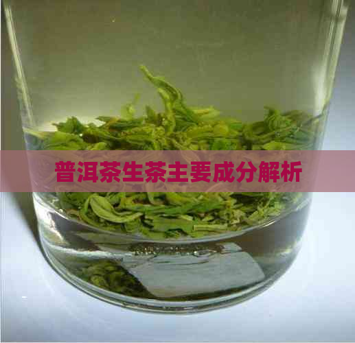 普洱茶生茶主要成分解析