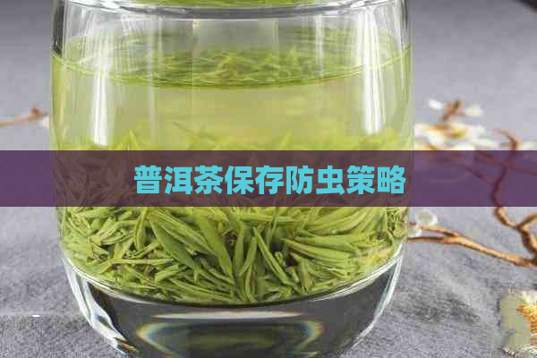 普洱茶保存防虫策略