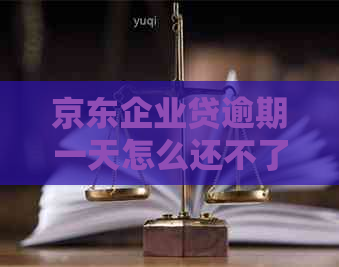 京东企业贷逾期一天怎么还不了提醒方式