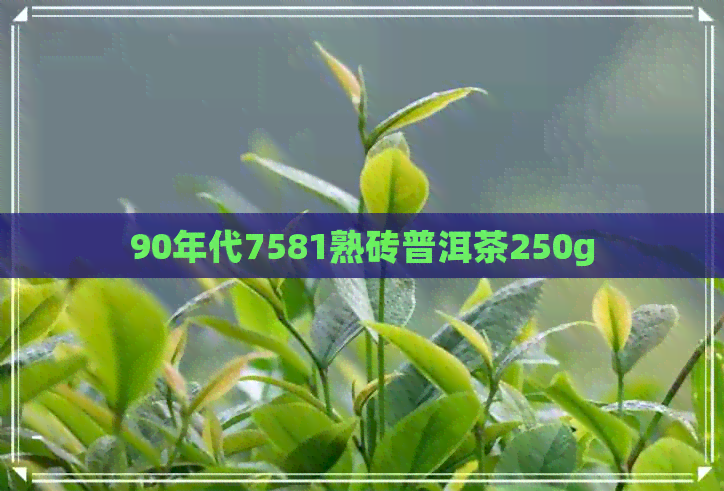 90年代7581熟砖普洱茶250g