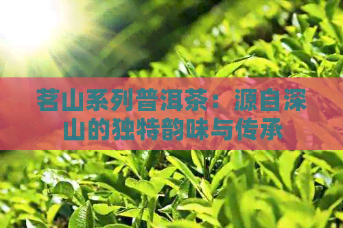 茗山系列普洱茶：源自深山的独特韵味与传承