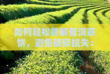 如何轻松拆解普洱茶饼，避免破碎损失：完整指南