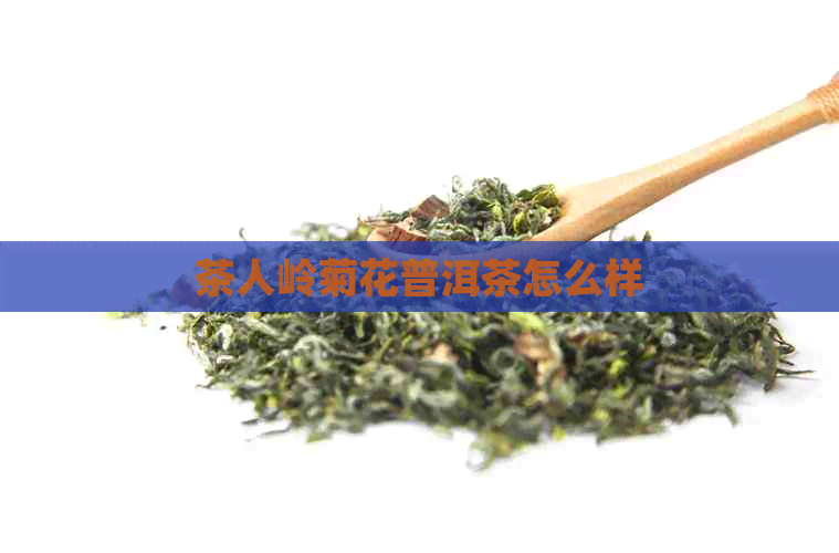 茶人岭菊花普洱茶怎么样