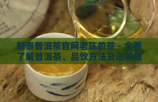 新泰普洱茶官网老陈的茶 - 全面了解普洱茶、品饮方法及选购技巧