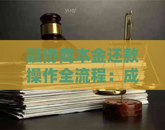 融协商本金还款操作全流程：成功案例与注意事项