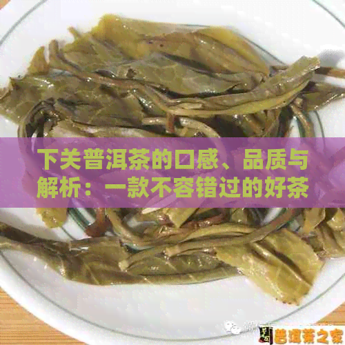 下关普洱茶的口感、品质与解析：一款不容错过的好茶