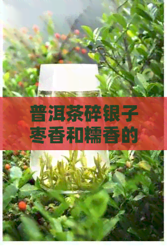 普洱茶碎银子枣香和糯香的区别与选择：哪款更好喝？