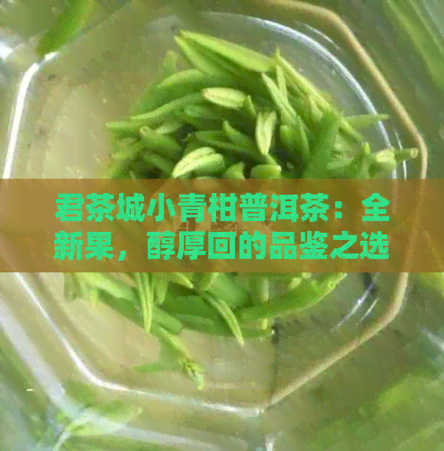 君茶城小青柑普洱茶：全新果，醇厚回的品鉴之选