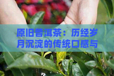 原旧普洱茶：历经岁月沉淀的传统口感与文化魅力