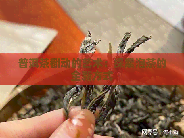 普洱茶翻动的艺术：探索泡茶的全新方式