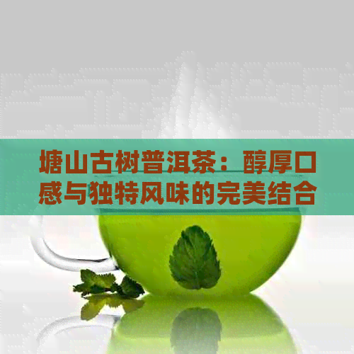 塘山古树普洱茶：醇厚口感与独特风味的完美结合