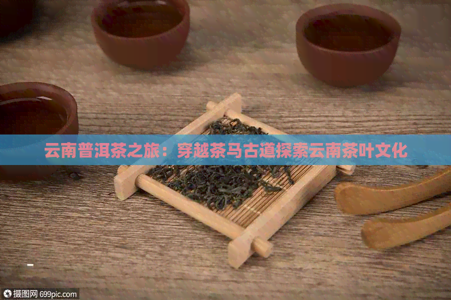 云南普洱茶之旅：穿越茶马古道探索云南茶叶文化