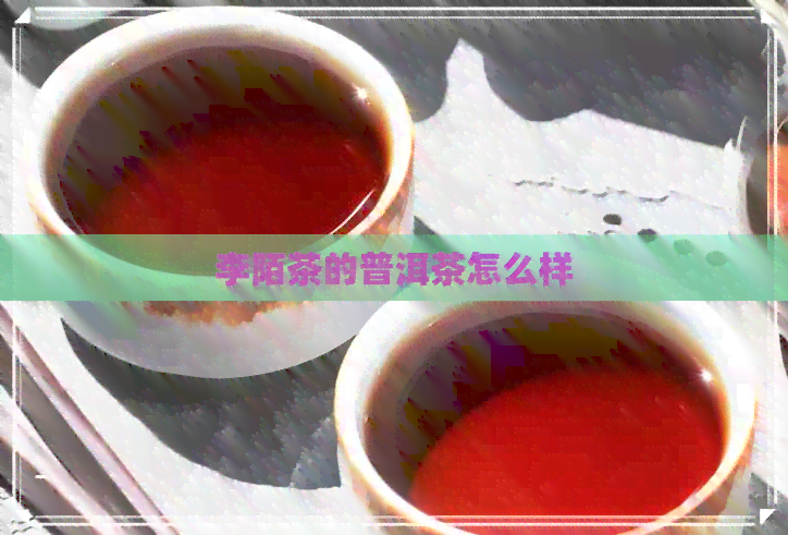 李陌茶的普洱茶怎么样