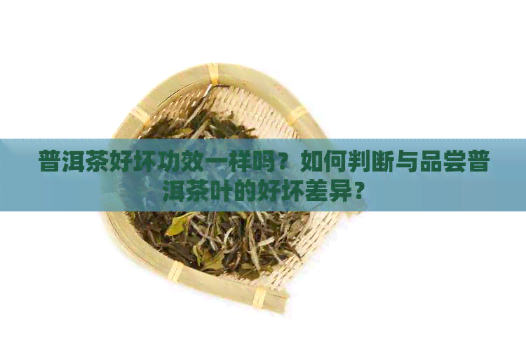 普洱茶好坏功效一样吗？如何判断与品尝普洱茶叶的好坏差异？