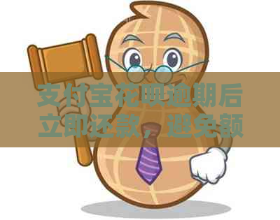 支付宝花呗逾期后立即还款，避免额外费用及信用影响，这样做可行吗？