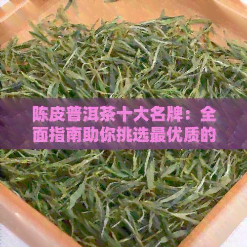 陈皮普洱茶十大名牌：全面指南助你挑选更优质的茶品