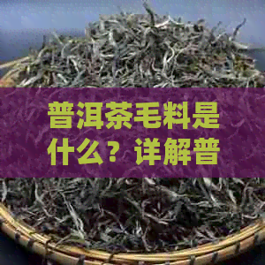 普洱茶毛料是什么？详解普洱茶毛料含义与特点