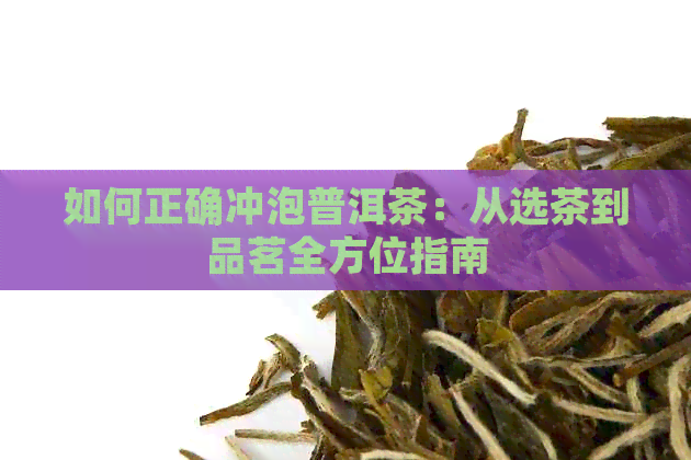 如何正确冲泡普洱茶：从选茶到品茗全方位指南