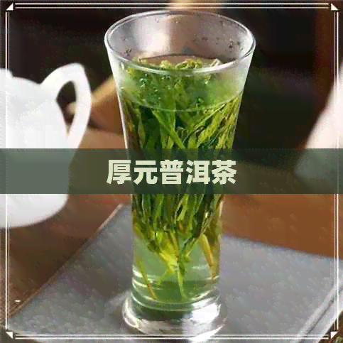 厚元普洱茶