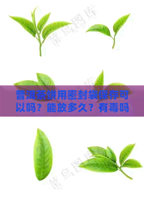 普洱茶饼用密封袋保存可以吗？能放多久？有吗？会坏吗？