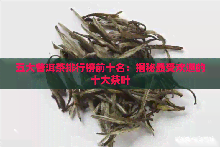 五大普洱茶排行榜前十名：揭秘更受欢迎的十大茶叶