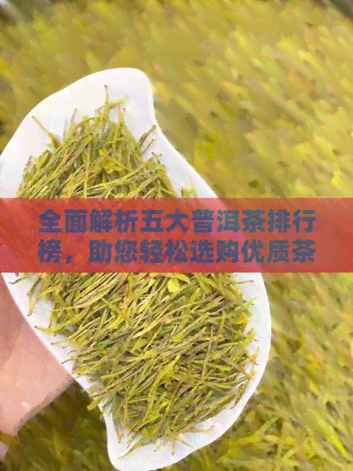 全面解析五大普洱茶排行榜，助您轻松选购优质茶叶！