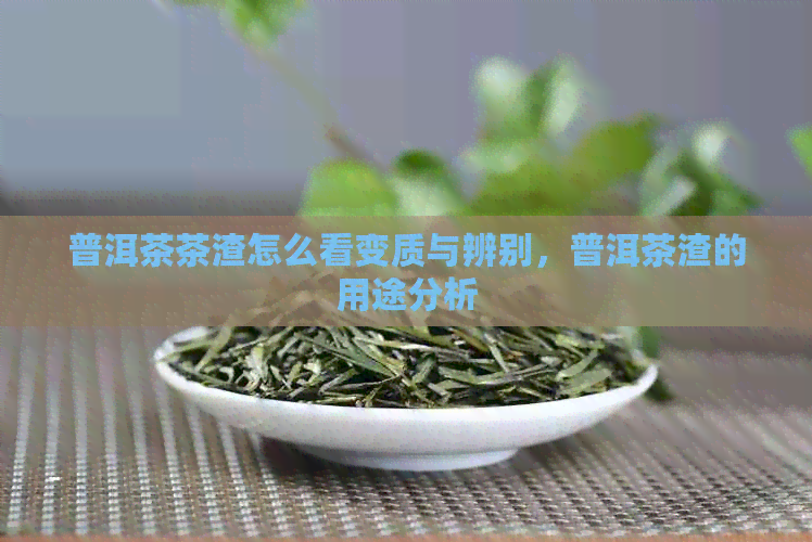 普洱茶茶渣怎么看变质与辨别，普洱茶渣的用途分析