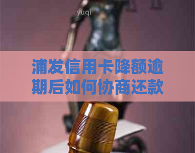 浦发信用卡降额逾期后如何协商还款？成功案例分享和实用建议！