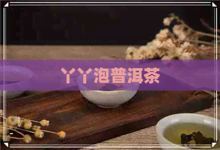 丫丫泡普洱茶