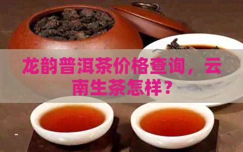 龙韵普洱茶价格查询，云南生茶怎样？